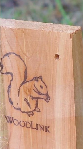 BestNest for Squirrels: Homes & Feeders to Delight Your Backyard Friends (Vertical)