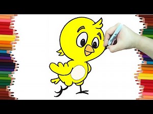 How to draw the little spotted hen's chick step by step and very easy - Coloring Pages