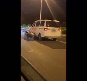 China: Unusual Dog-Walking With Van Spotted in Henan Province