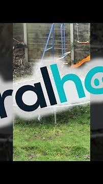 Frolicking Fox on the Trampoline || ViralHog