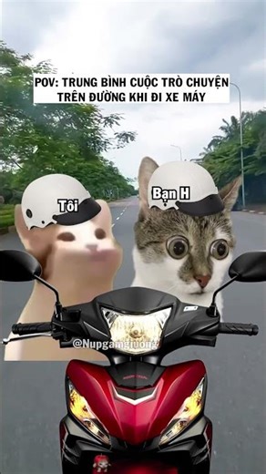 À ừ ờ ừ ừ (Cre: Phúc đồng phục) #shorts #funny #cat