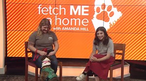 Fetch ME a Home: Meet Daisy