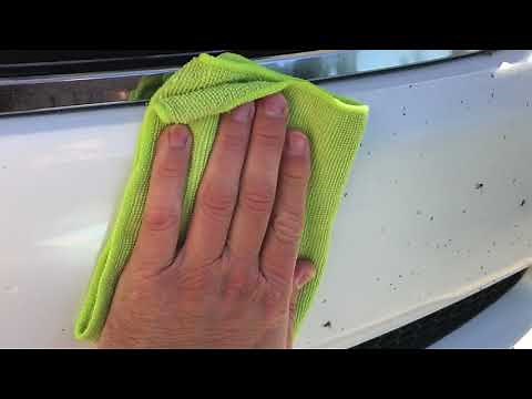 SC1 High Gloss Coating vs bugs