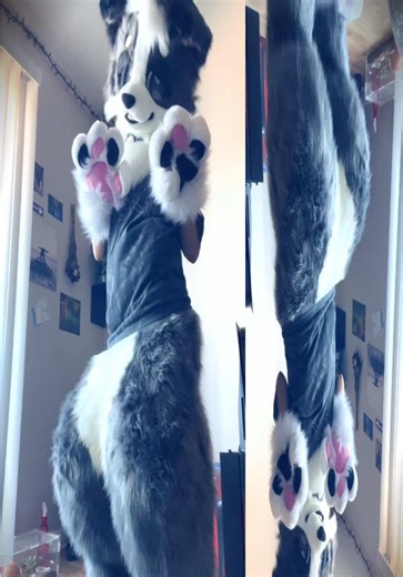 added a bit more stuffing 🥸 #fursuit #furry | fursuit