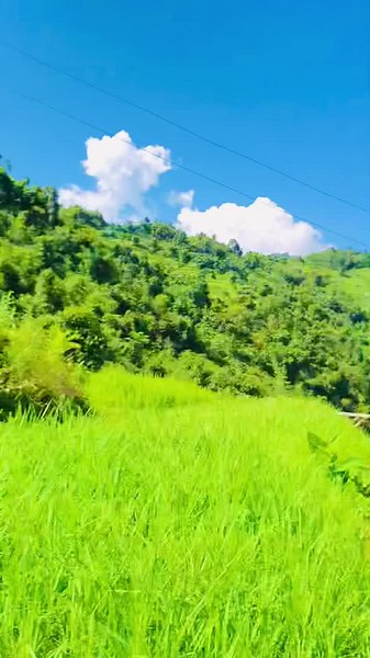 Mero bihey hudhoina yaspali🤣🤣🙈😂#fypシ #mansu