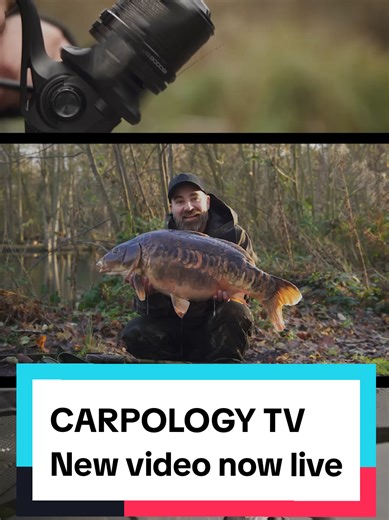 @Avid Carp Official New reels. Will these be the best deal of 2026 !!! @CARPologyofficial #carpfishingvideos #fyp #fishing #bigcarp #fishingtackle
