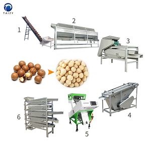 [Hot Item] Macadamia Nut Cracker Walnut Husking Machine Almond Processing Machines