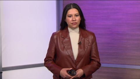 Check your pets: Animal microchip company goes out of business, leaving chips useless