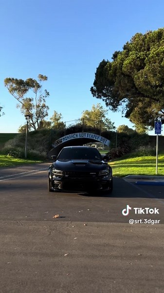Srt.3dgar on TikTok