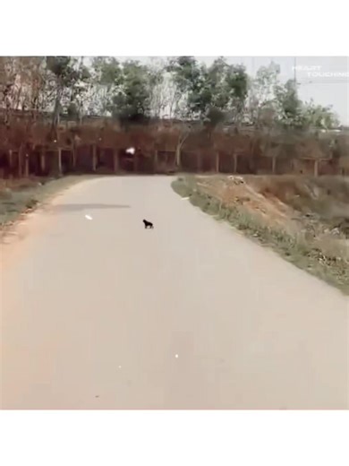 10K views · 407 reactions | Respect  | Ｄｅｅｐ Ｅｍｏｔｉｏｎｓ | Facebook