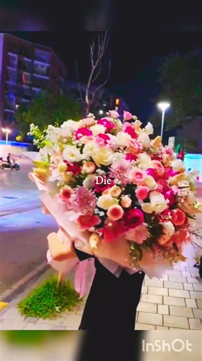 Lyrical edit | Numb little bug ✨️