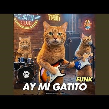 Ay Mi Gatito (Funk)