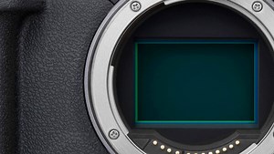 Some of the Good and Bad of Each Camera Brand