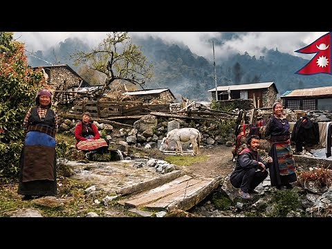 Life in the Highest Mountain Villages of Nepal | Manaslu Region Documentary