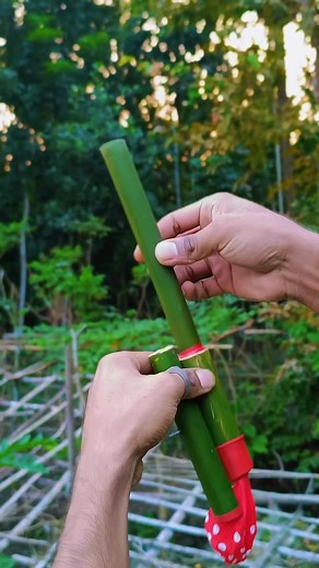Bamboo Balloons = Magic Toy You’ll Love! | Mr.Teddy bear