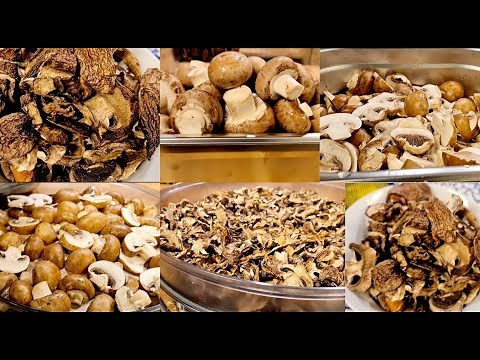 CHAMPIGNONS DÉSHYDRATÉS :Comment Séché Les Champignons Au Déshydrateur