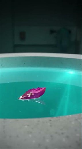 [Archive ID 721]: SCP-006 - Fountain of Youth (D-Class Field Cam)