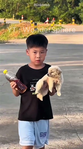 The boy begged his mother to let him keep the dog.