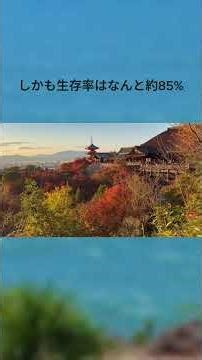 千年続く景色、清水寺