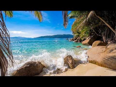 Ocean Ambience 4K ULTRA HD. Tropical Beach & Ocean Waves Sounds for Relaxation