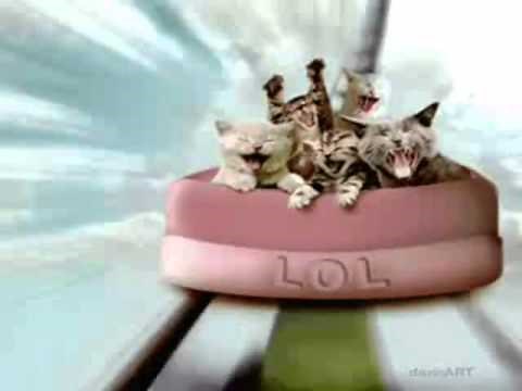 Happy Birthday, Funny Cats Style! #3 Party Time