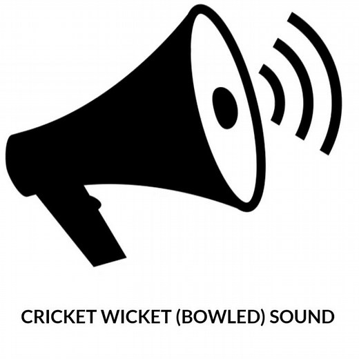 cricket wicket (Bowled) sound For Cricket video editors❤️