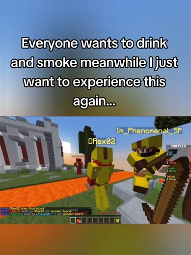 So many good memories on Mineplex #foryou #nostalgia #mineplex #minecraft #gaming