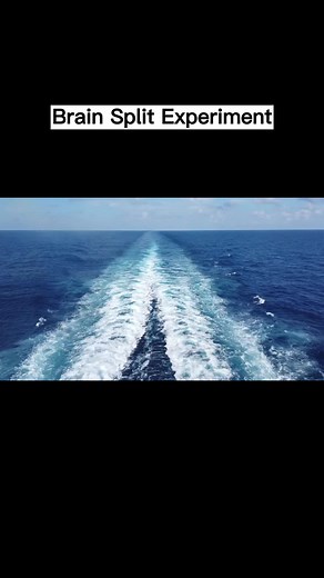 The Brain Split Experiment: Understanding Split Brain Research