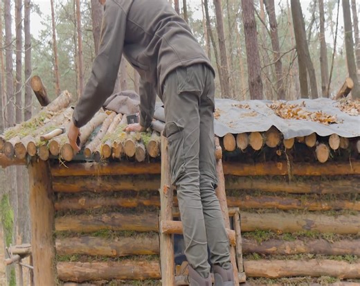 Living in an off-grid log cabin in the forest, building a house, and installing a stove in a hut. | Ｍｏｏｎ Ｍｏｏｎ