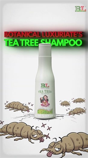 🪮 Comb Isn’t Enough ! Lice & nits stay stuck and hatch again. stop it using Tea Tree Shampoo