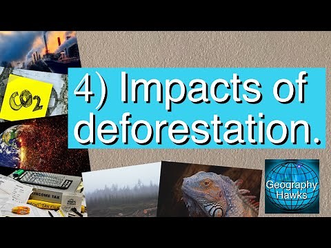 4) Impacts of deforestation - Powered by @GeographyHawks