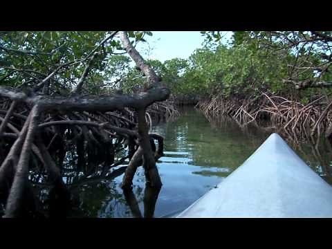Lucaya Kayak & Beach Tour | Shore Excursion | NCL