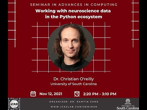 Working with neuroscience data in the Python ecosystem