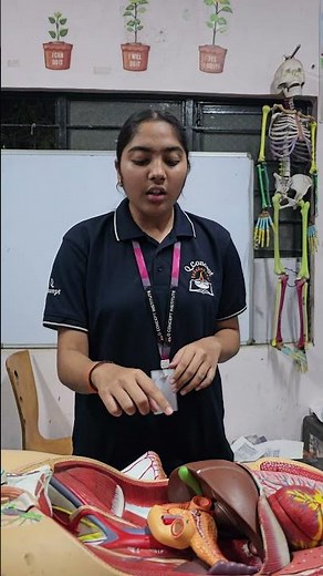 Meet Disha, confidently explaining the Liver and Gall Bladder using a human anatomy dummy.