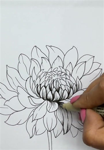 Quick and Easy Dahlia Drawing #art #flowers
