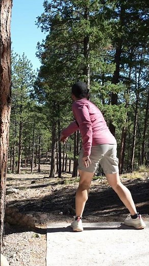 "Yes... No... Ok." Welcome to Disc Golf