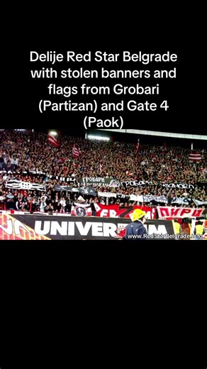 Delije iz Beograda: Kradljive zastave i transparenci