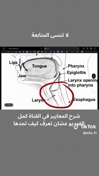 Manner and Place of Articulation — شرح النُطق للصوتيات