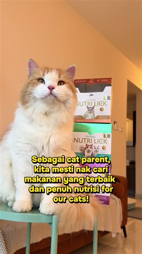 Nutri Lick Kucing: Supplement Kucing dengan Salmon, Beef, Chicken