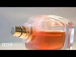 Artificial intelligence can now design perfume - BBC News - The Global Herald
