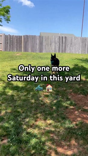 Next to last weekend before we leave Clear Brook Dr.