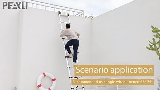 0d83b41698bd4fa58052eef6694a61ae