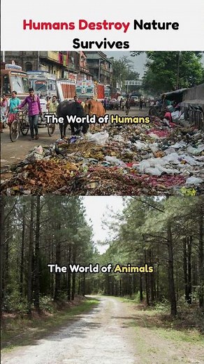 Humans Destroy, Nature Survives 🌍 #ProtectNature #EnvironmentalAwareness #SaveEarth #sustainability
