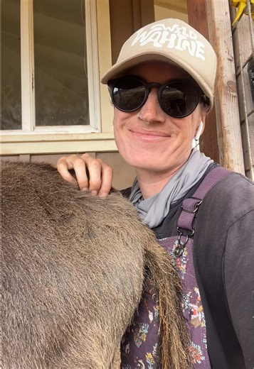 Mini Donkey Adventures: Farm Life and Fun