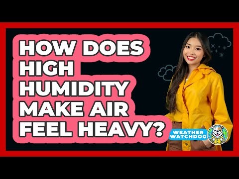 How Does High Humidity Make Air Feel Heavy? - Weather Watchdog