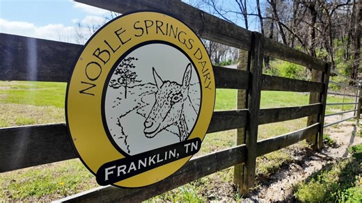 Spending a spring morning at Noble Springs Dairy