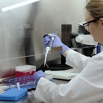 Video: Using Human Induced Pluripotent Stem Cells for the Generation of Tumor Antigen-specific T Cells