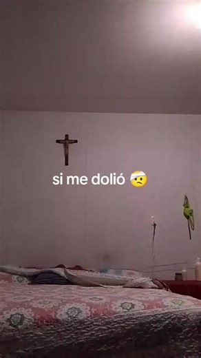 Videos de nenis (@nenis3832) con “sonido original - YamiL”
