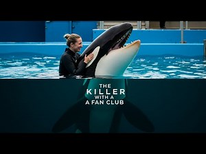 SeaWorld's Biggest Lie: The Real Story Behind Tilikum's Attacks