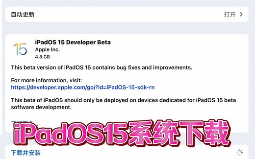 【iPad新系统下载方法】iPados15看起来比较舒服！最喜欢的还是那个拍照识别!